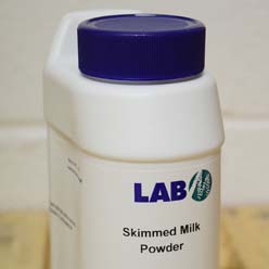 Skim Milk Powder